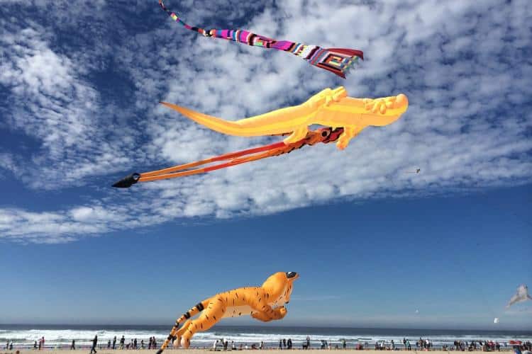 virginia beach event kite festival